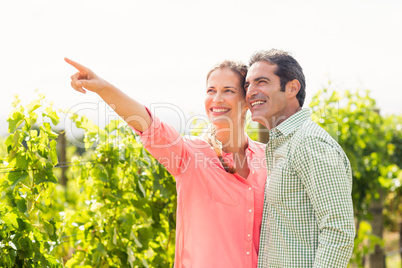 Happy couple standing in vineyard and pointing at nature