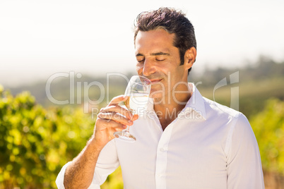 Male vintner smelling glass of wine