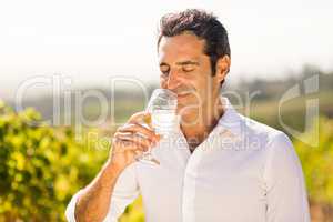 Male vintner smelling glass of wine