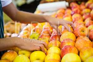 Female staff arranging fruits in organic section