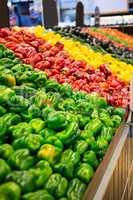 Variety of vegetables in organic section