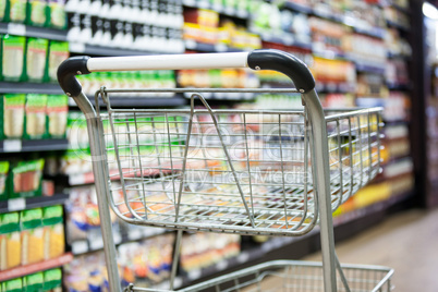 Empty shopping cart in grocery section