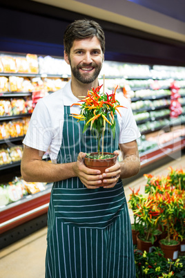 Smiling male staff holding pot plant in supermarket