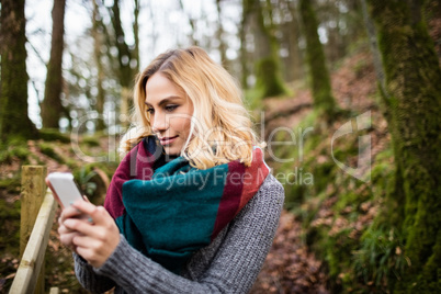 Beautiful woman using mobile phone