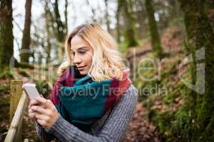 Beautiful woman using mobile phone