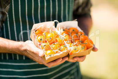 Mid section of farmer holding box of fig