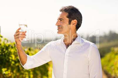 Smiling male vintner looking at a glass of wine