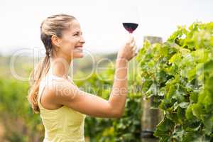 Female vintner holding wine glass