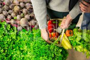 Woman selecting vegetables in organic section