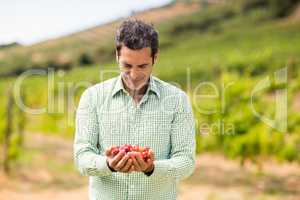 Smiling vintner holding grapes