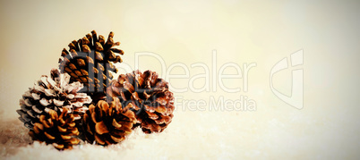 Pine cone decoration on fake snow