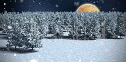 Composite image of digitally generated image of trees on snowy field