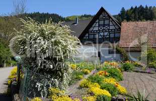 Garten in Oberkirch