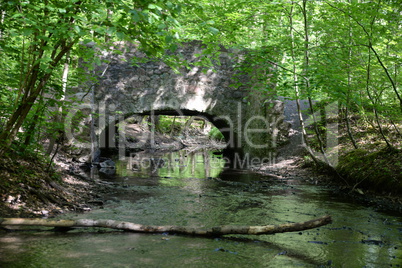 Brücke im Wald