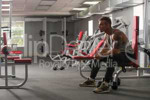 Handsome tattooed bodybuilder posing in gym