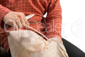 Basketry. Photo of craftsman holds withy, close-up