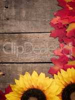 Old barnwood with colorful leaves