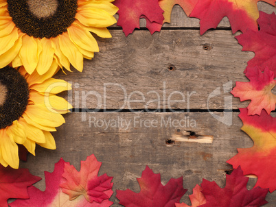 Seasonal background with colorful leaves
