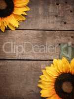 Two sunflowers on rustic wood