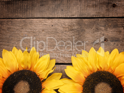 Sunflowers on old wood