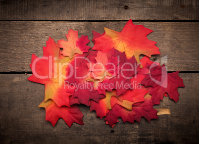 Seasonal background with colorful leaves