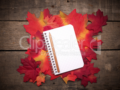 Small notebook on colorful leaves