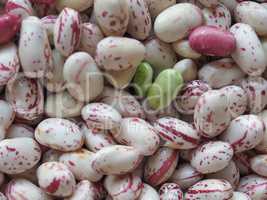 Crimson beans legumes vegetables