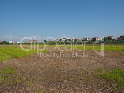 View of the city of Settimo Torinese