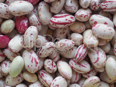 Crimson beans legumes vegetables