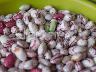 Crimson beans legumes vegetables