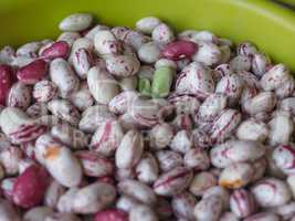 Crimson beans legumes vegetables