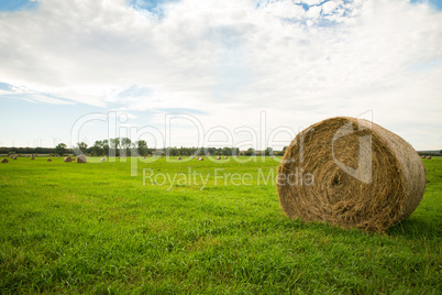 Feld mit Strohballen