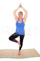 Yoga trainer standing on one leg.