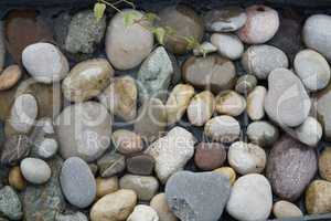 River pebbles