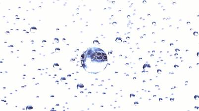 Rain Drops in Looped animation on White background. HD 1080.