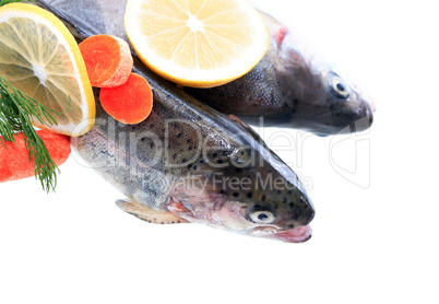 Raw Fish For Preparation