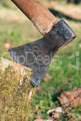 Axe In Log