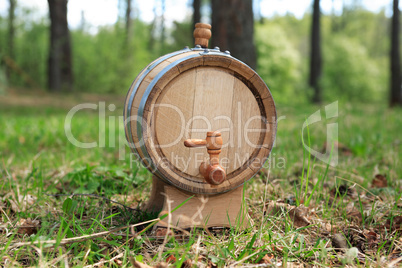 Oak Barrel In Forest