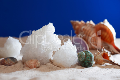 Dead Sea Salt