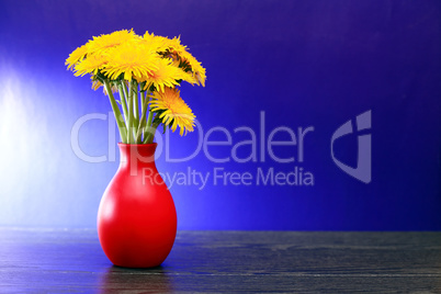 Dandelions In Vase