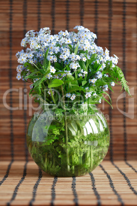 Flowers In Vase