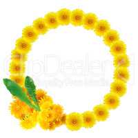 Yellow Dandelions Wreath