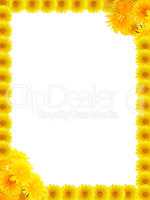 Yellow Dandelions Frame
