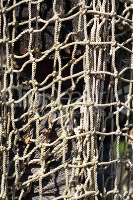 Fishing Net On Wood