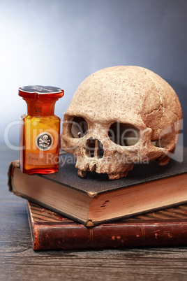 Skull On Books