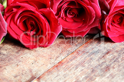 Roses On Wood