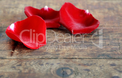 Red Rose Petals