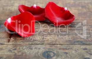 Red Rose Petals