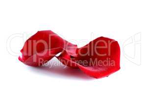 Red Rose Petals