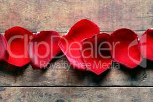 Rose Petals On Wood